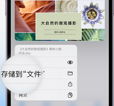 郎溪apple维修中心分享iPhone文件应用中存储和找到下载文件