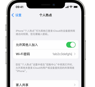 郎溪apple服务站点分享iPhone上个人热点丢失了怎么办