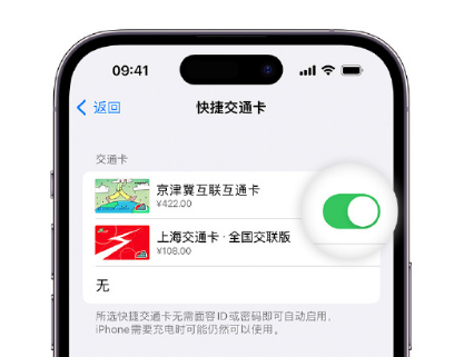 郎溪apple维修点分享iPhone上更换Apple Pay快捷交通卡手绘卡面 