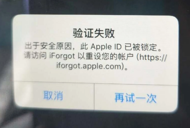 郎溪iPhone维修分享iPhone上正常登录或使用AppleID怎么办 