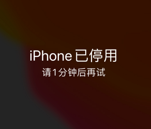 郎溪苹果手机维修分享:iPhone 显示“不可用”或“已停用”怎么办？还能保留数据吗？ 