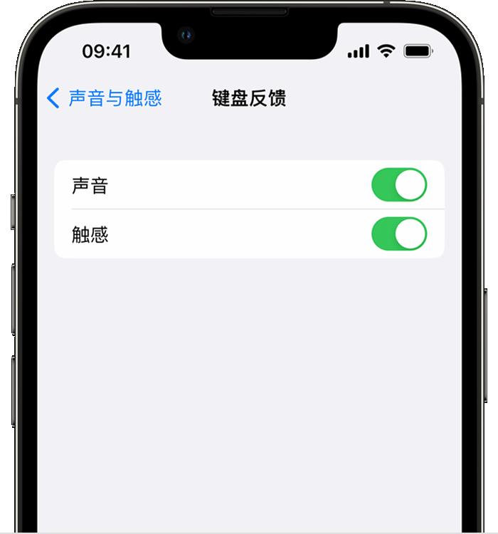 郎溪苹果14维修店分享如何在 iPhone 14 机型中使用触感键盘 