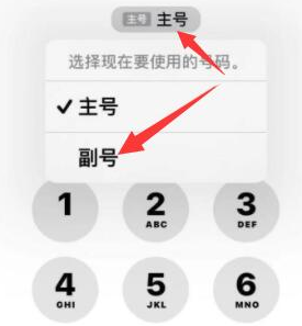 郎溪苹果14维修店分享iPhone 14 Pro Max使用副卡打电话的方法 