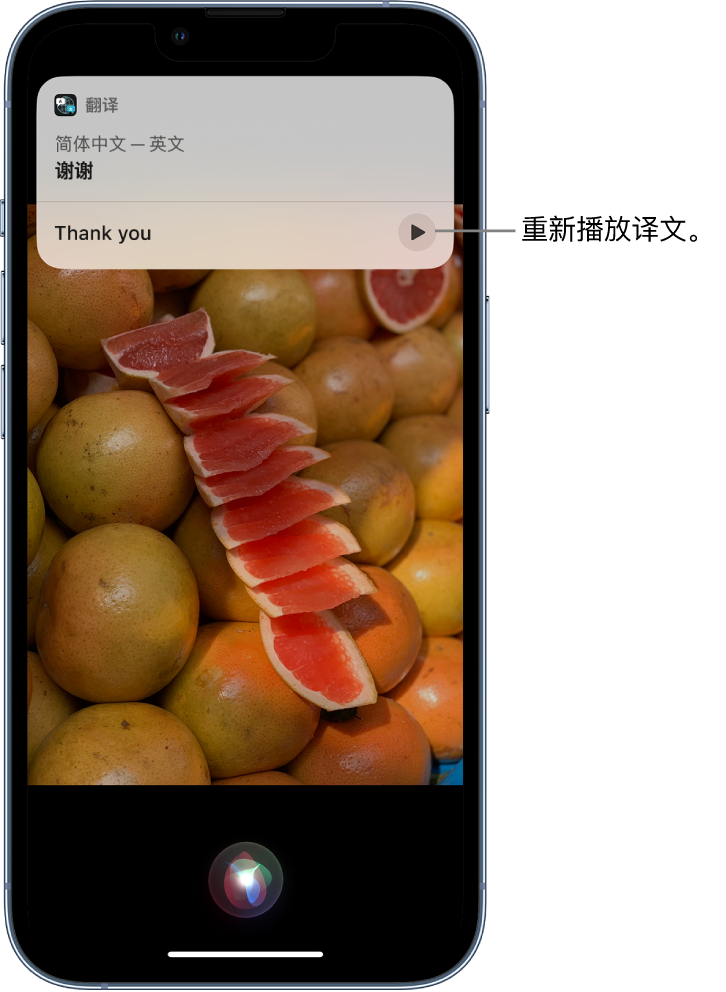 郎溪苹果14维修分享 iPhone 14 机型中使用 Siri：了解 Siri 能帮你做什么 