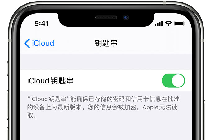 郎溪苹果手机维修分享在 iPhone 上开启 iCloud 钥匙串之后会储存哪些信息 