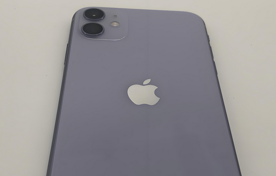 郎溪苹果11系统维修分享iPhone11手机系统崩溃无法开机如何解决 